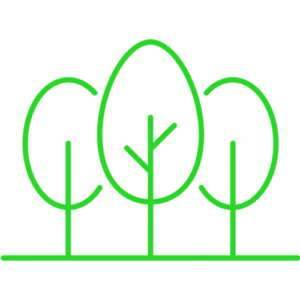 Landscape Design