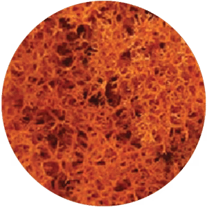 Moss Orange
