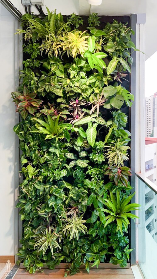 Devonshire green wall installation