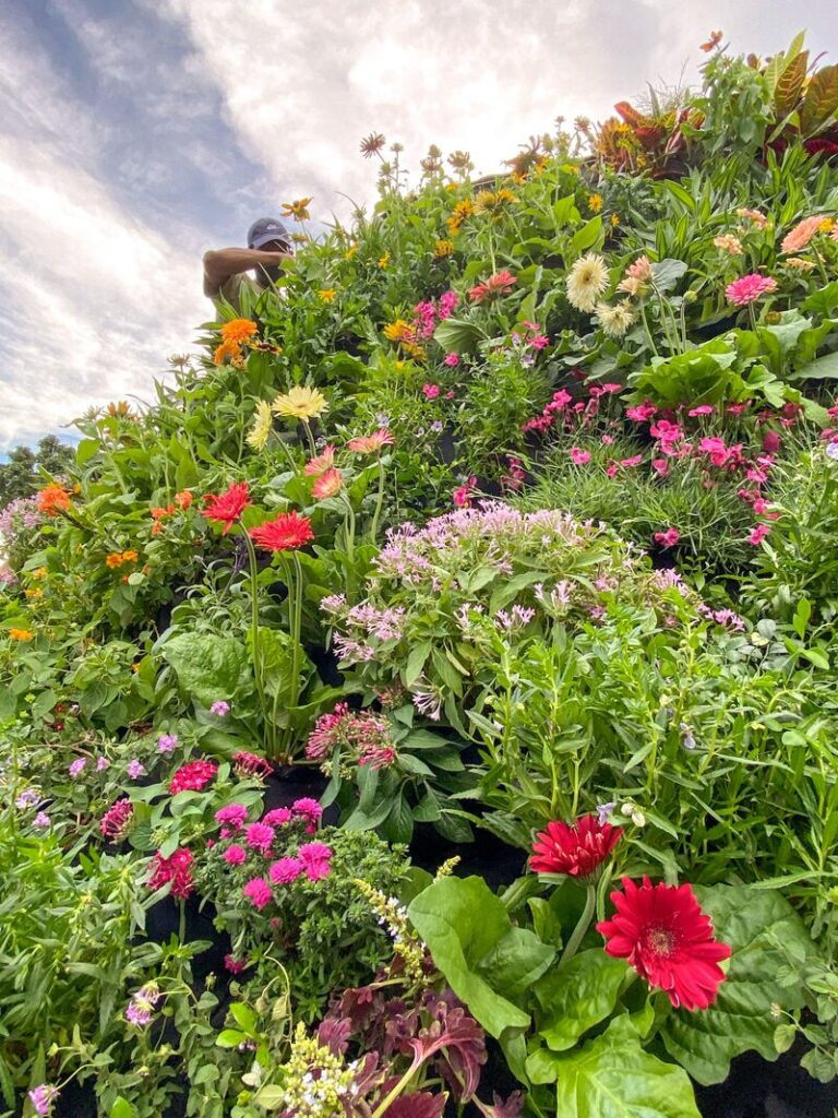 Back and Better Than Ever: Singapore Garden Festival 2024