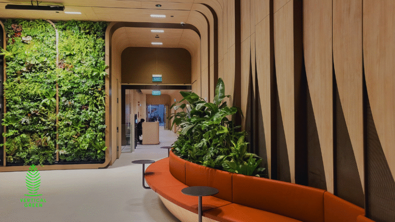 Improve Your Indoor Air Quality with NASA-Recommended House Plants