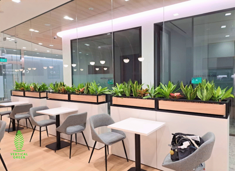 Live Tree Live Potted Plant Office Design Interior Design Vertical Green Singapore Malaysia Philippines Vertical Green Global