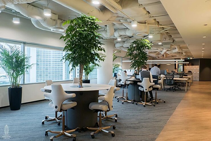 Live Tree Live Potted Plant Office Design Interior Design Vertical Green Singapore Malaysia Philippines Vertical Green Global