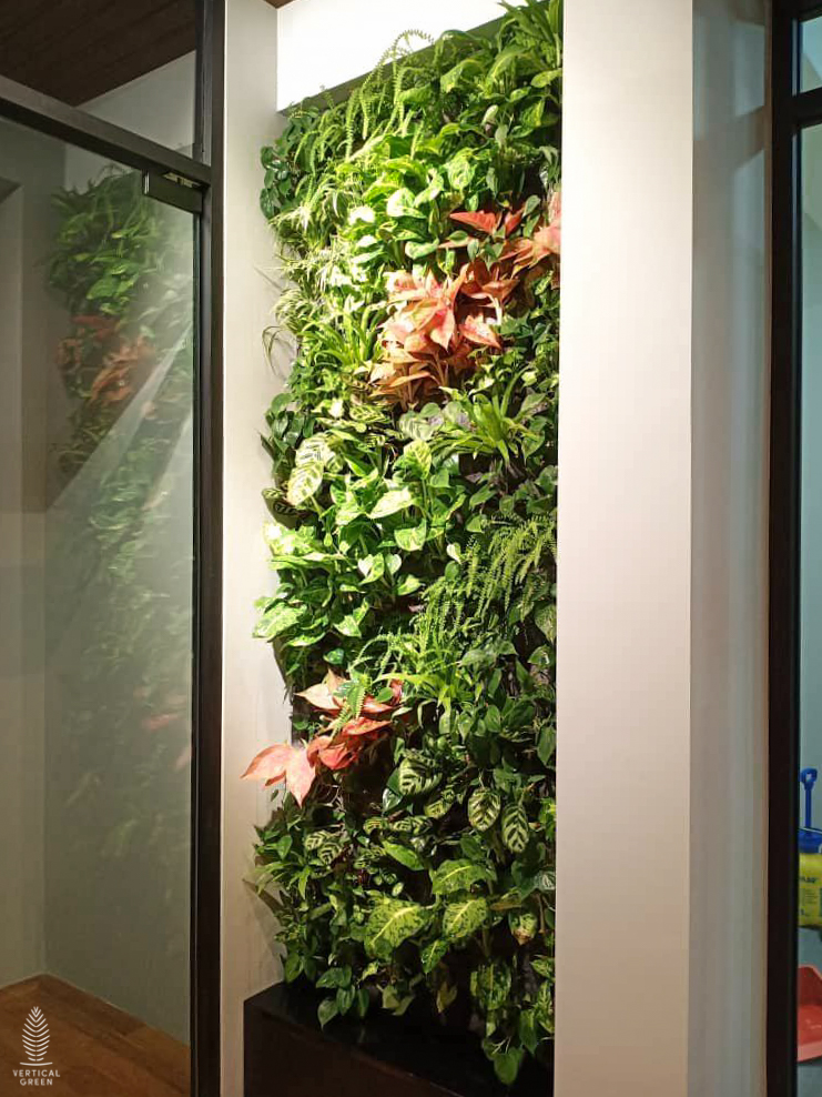 Vertical Green Live Green Wall Singapore Malaysia Philippines Interior Design Office Design