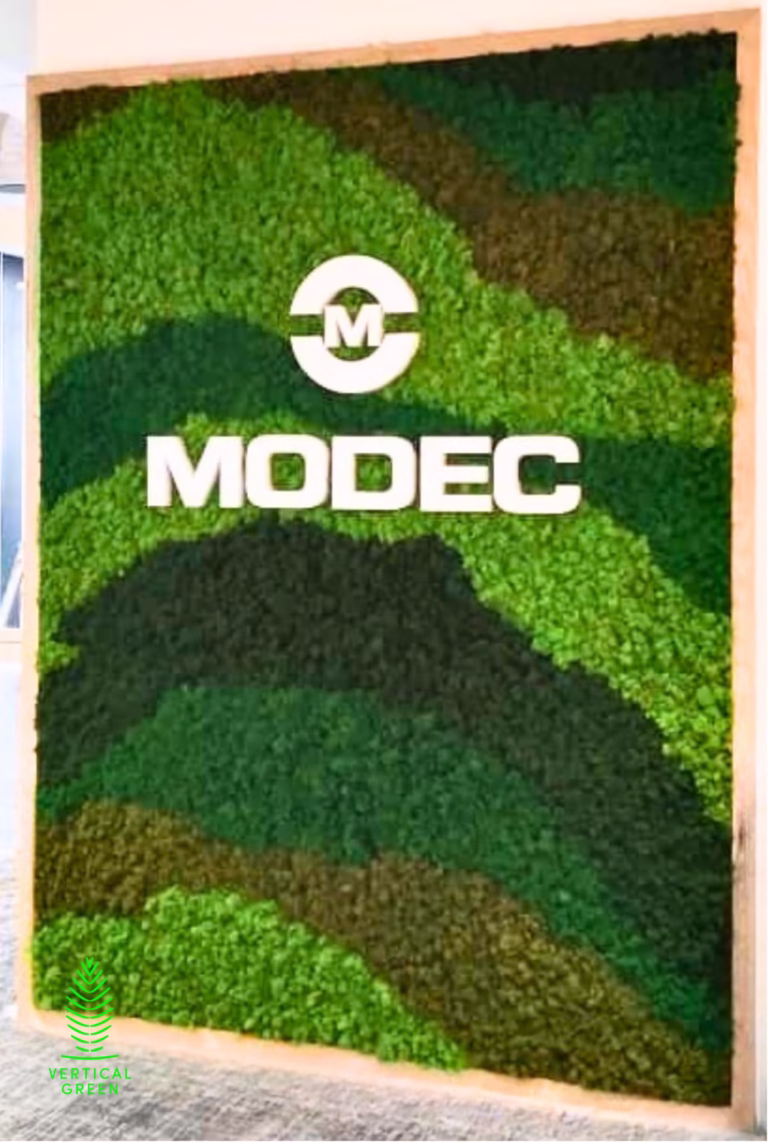 Moss Wall Preserved Wall Singapore Malaysia Philippines Office Design Interior Design