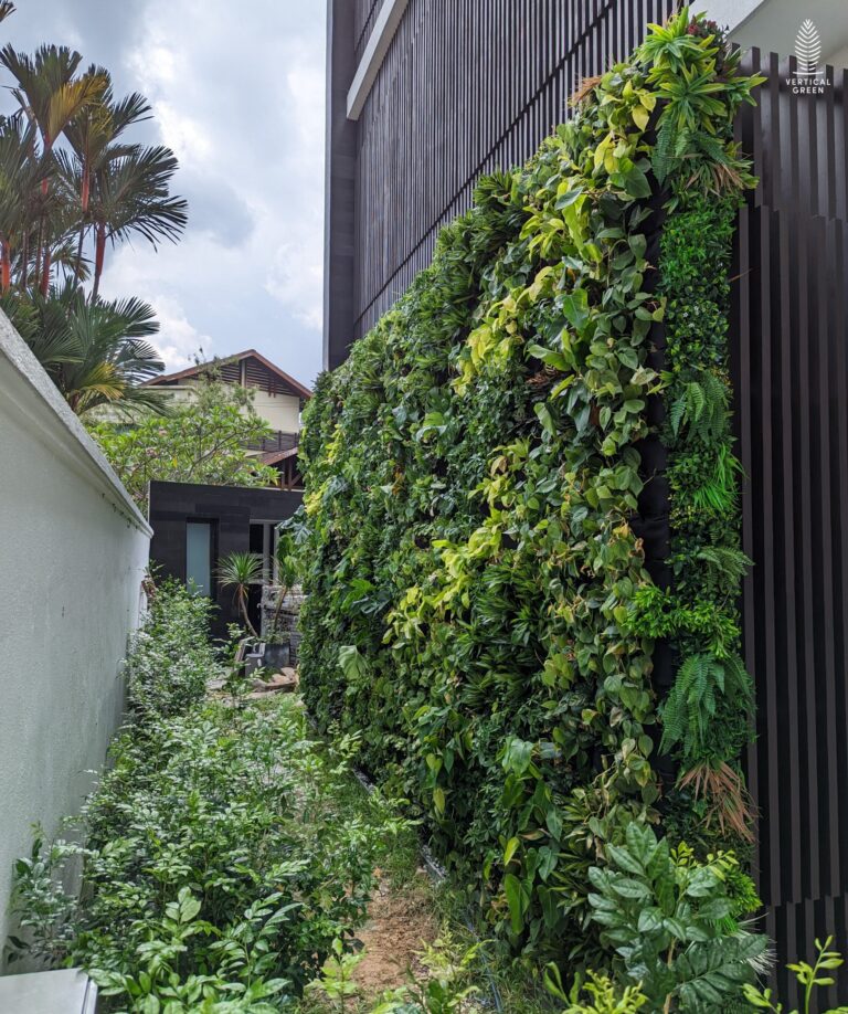 Vertical Green Live Green Wall Singapore Malaysia Philippines Interior Design Office Design
