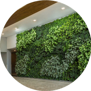 export_hygrowall