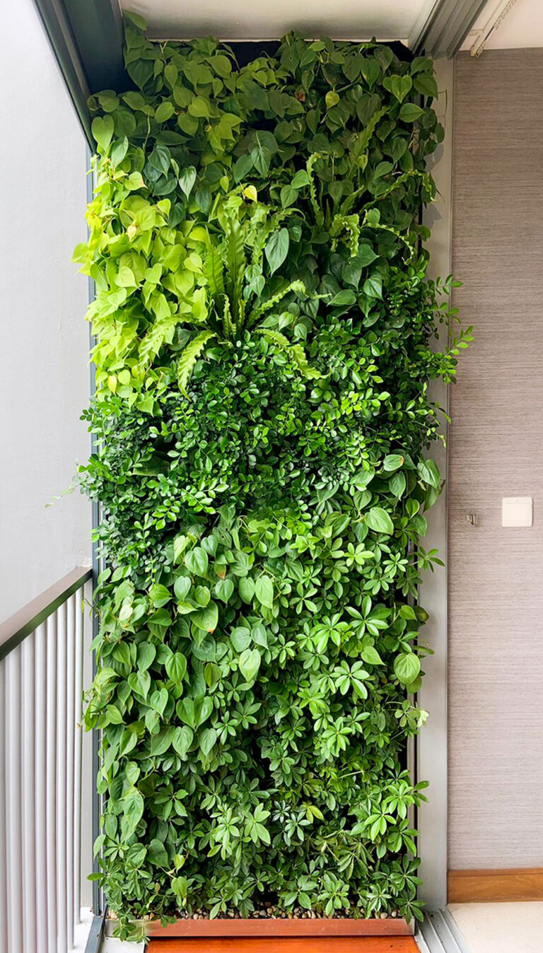 HyGro®Wall