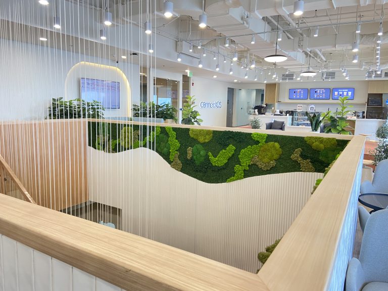 vertical moss vertical moss garden wall moss garden vertical garden moss wall Philippines Singapore Malaysia