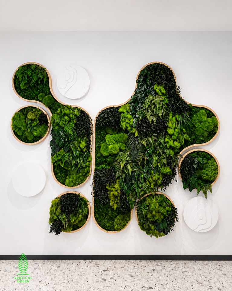 Modern preserved green wall at MSD Pharma Singapore showcasing HygroPreserved moss, preserved foliage, and custom organic-shaped feature panels.
