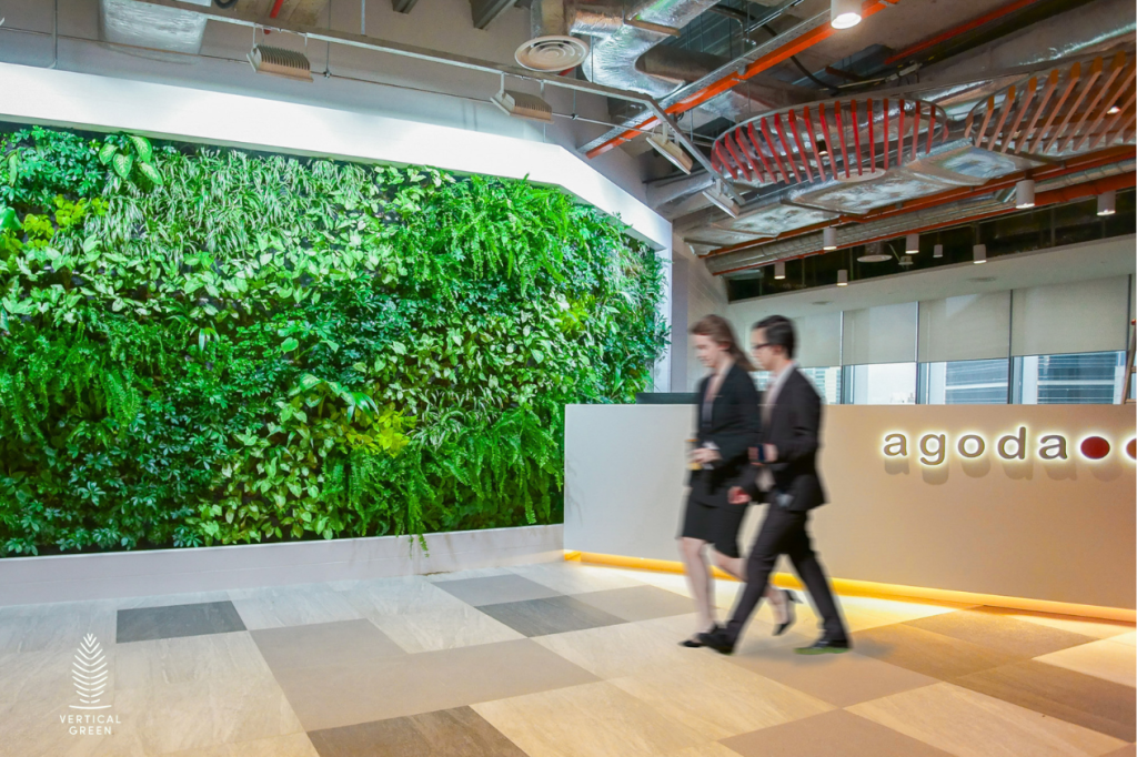 Modern corporate reception featuring a full-height living green wall, contemporary lounge seating, timber ceiling details and a bright office corridor.