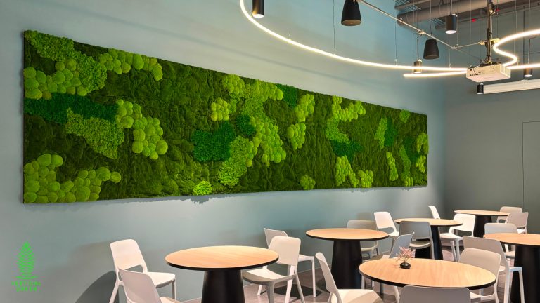 Razer Office - Singapore - HygroMoss
